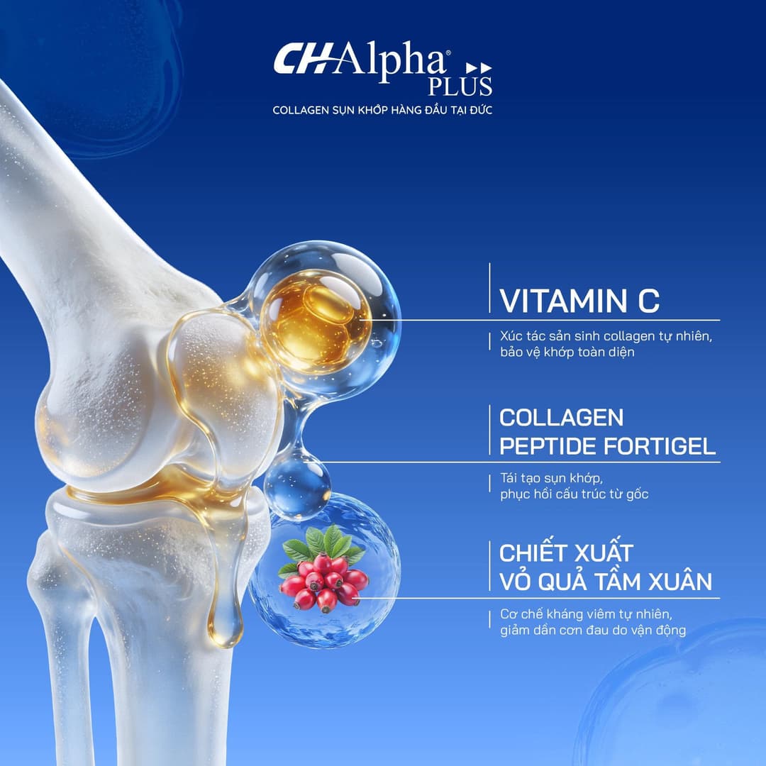Collagen Sụn Khớp CH-Alpha PLUS Từ Đức - Ngăn Ngừa Thoái Hóa, Hỗ Trợ Tái Tạo Và Phục Hồi Khớp, Dạng Nước 1x30 ống*25ml