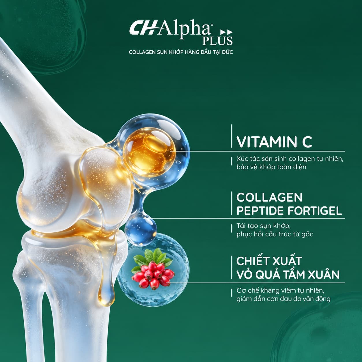 Ảnh sản phẩm 6